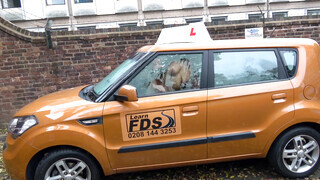Fake Driving School - Louise Lee kedveli a méretes kukacot