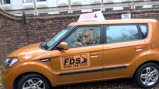 Fake Driving School termetes brit csöcsök
